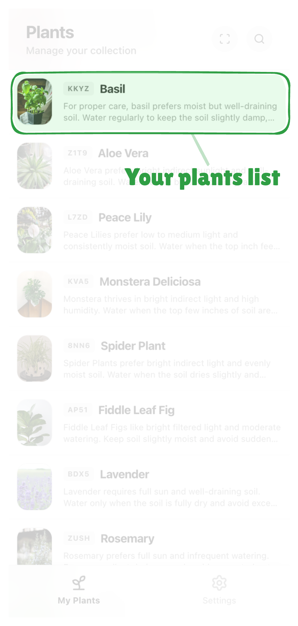 Plant Collection Dashboard