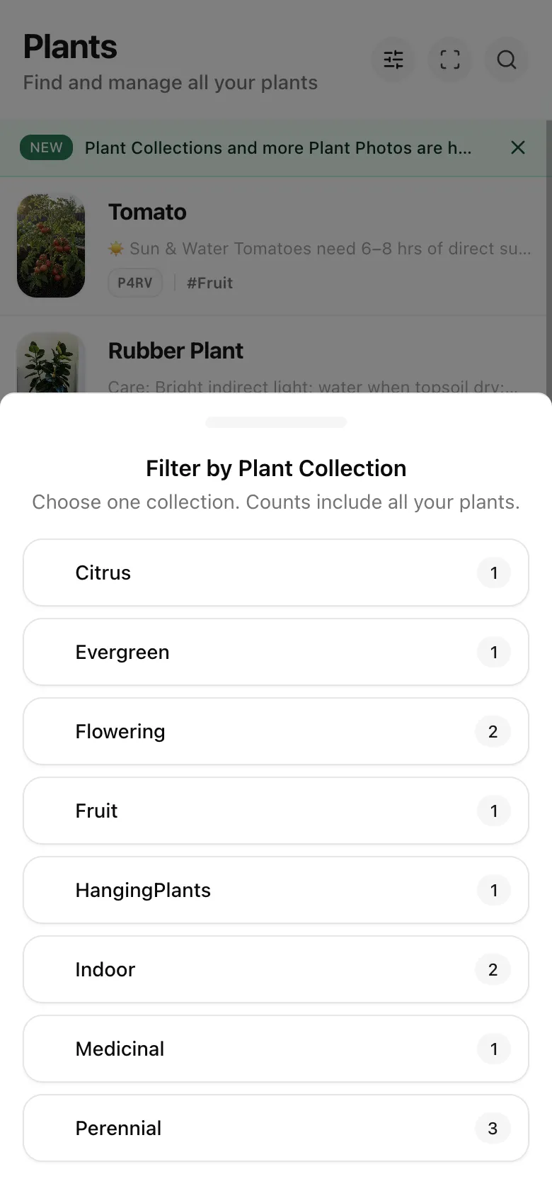 Plant dashboard filtered to find a plant record